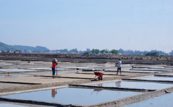 Kỹ thuật sản xuất muối phơi cát