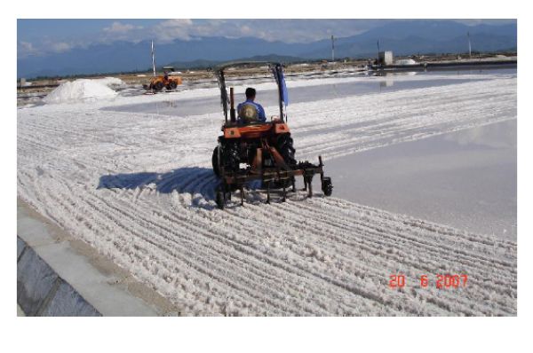Kỹ thuật sản xuất muối phơi nước